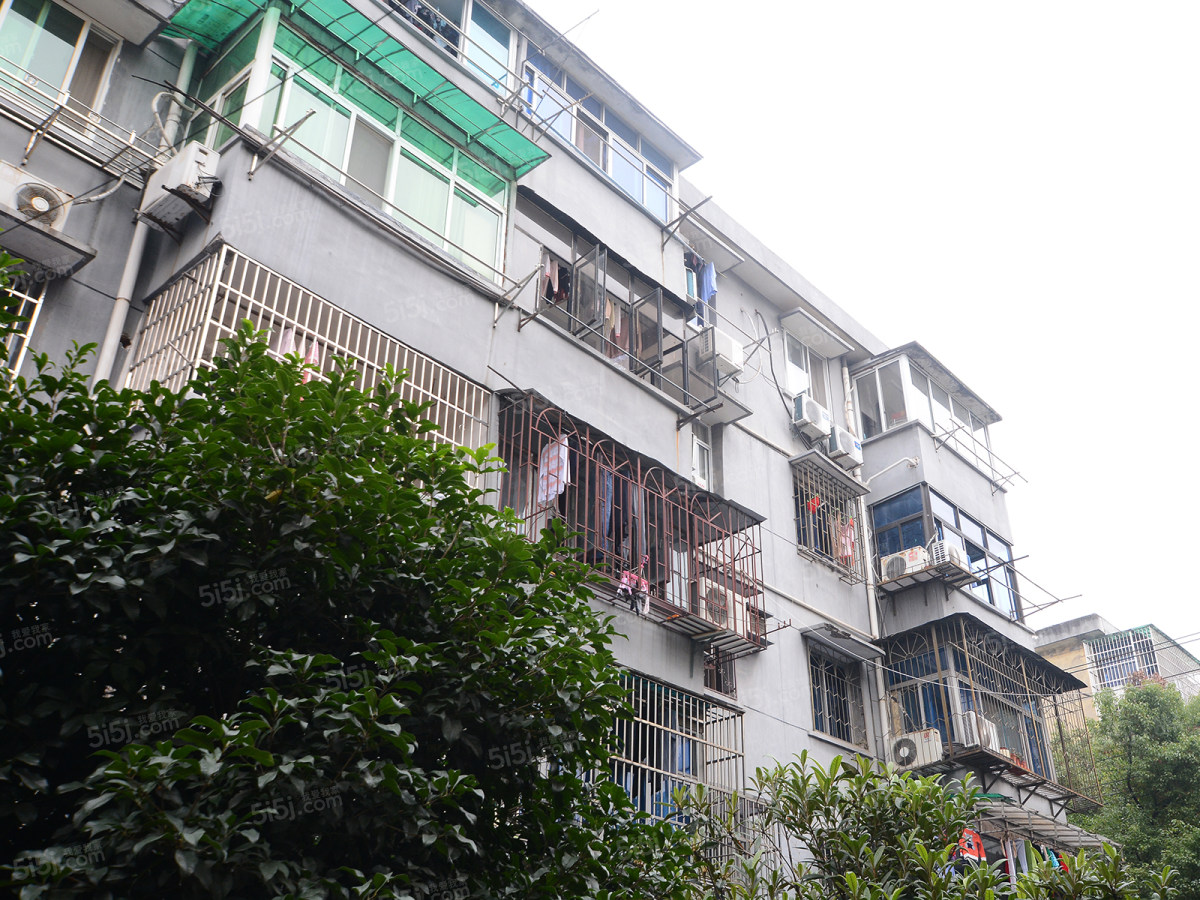 新星小区