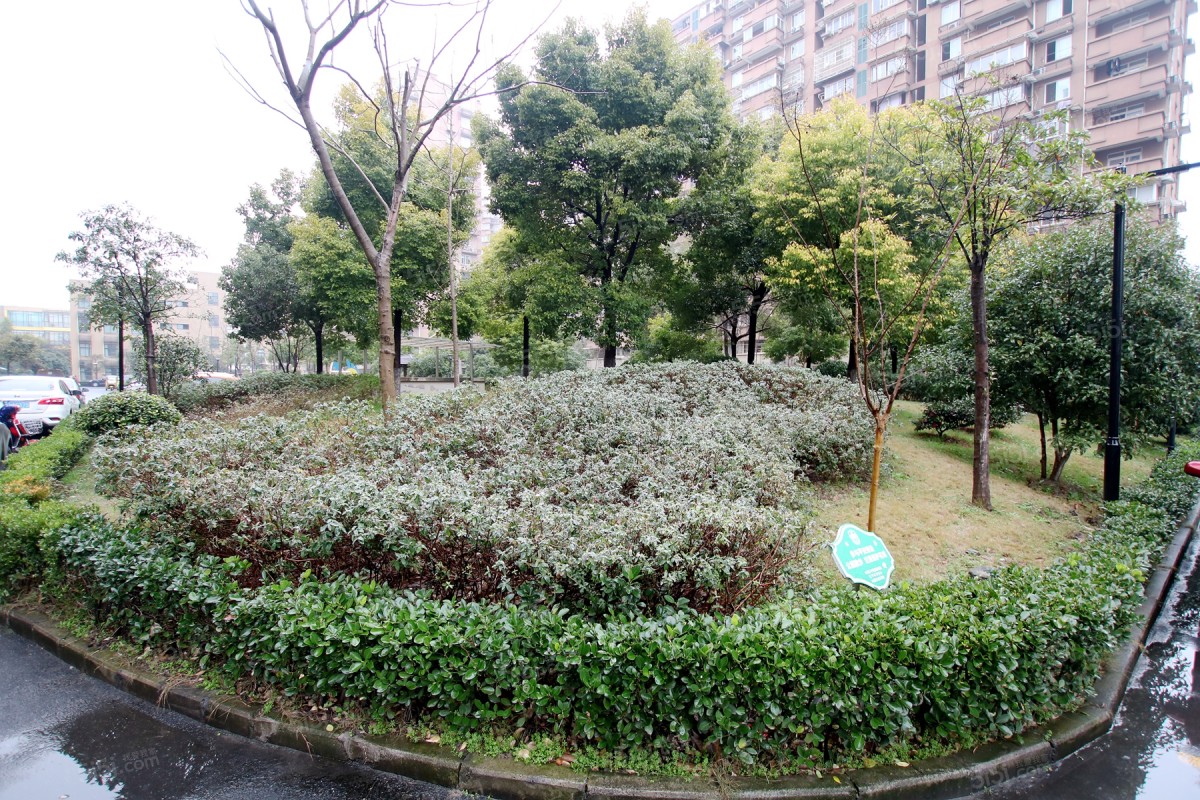 蓝桥景苑