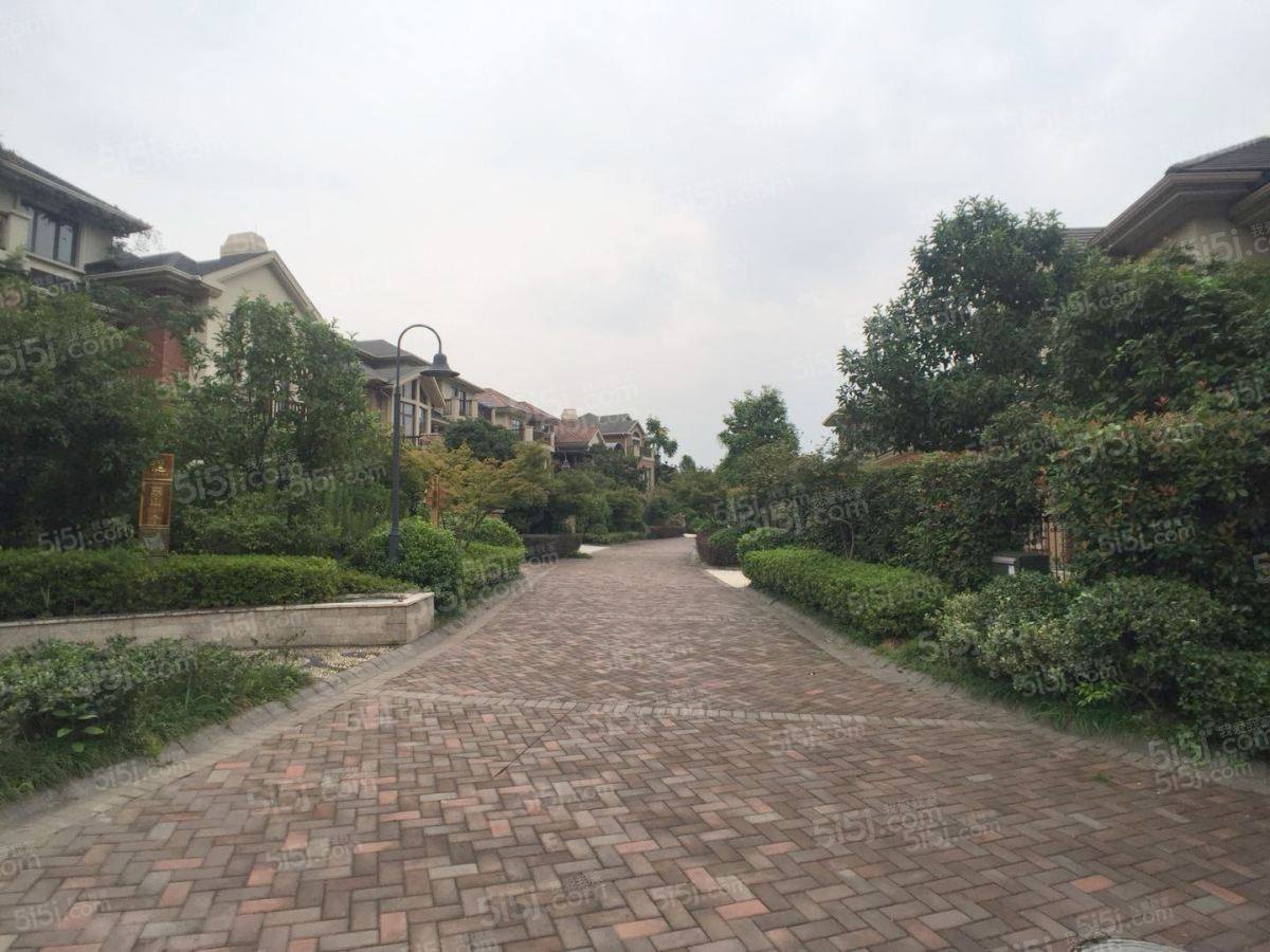 杭州我爱我家九龙山庄 独栋别墅,大花园,随时可以看房第8张图