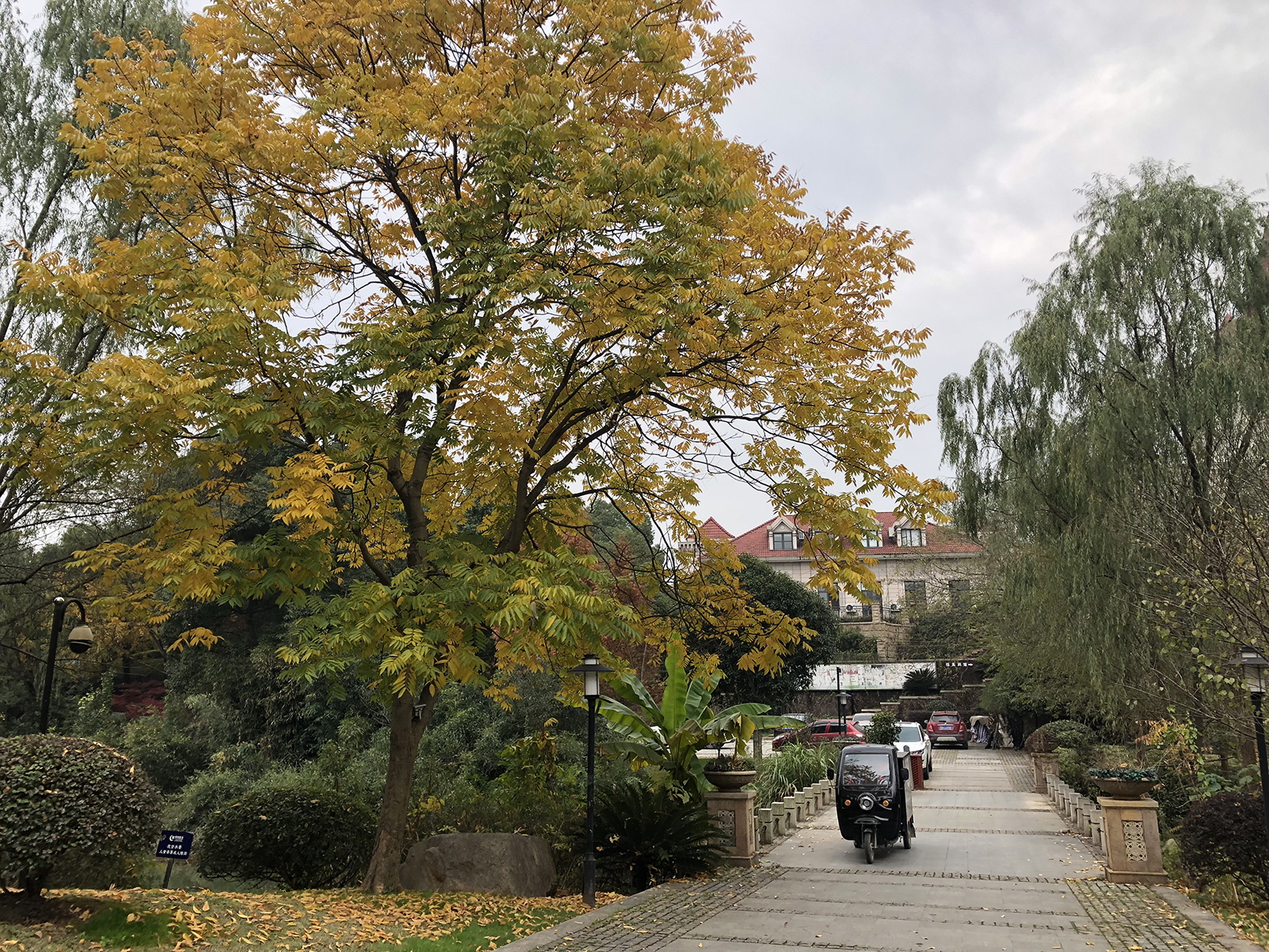 杭州瑞城花园排屋图片