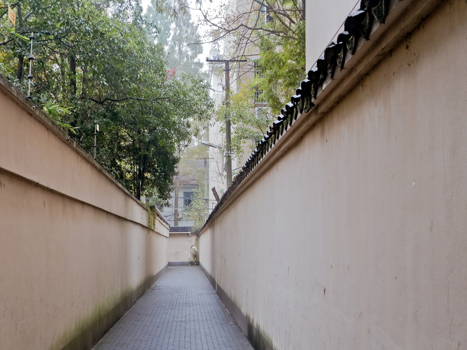 杭州金秋花园图片