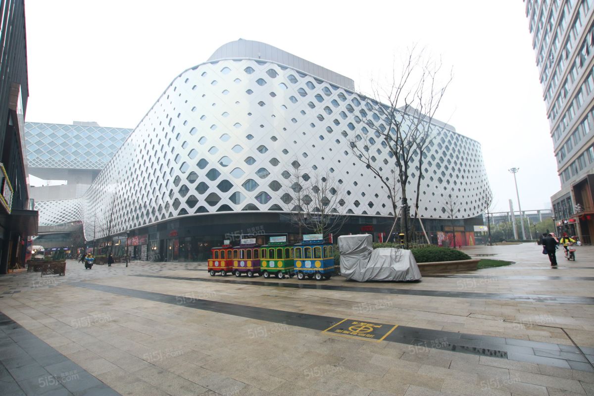 滨江宝龙城市广场 朝南 全新精装修 全天采光 南北通透