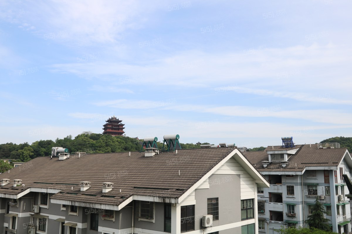 柳浪新苑 带阁楼有三房的 视野好 自住精装修有装电梯的可能