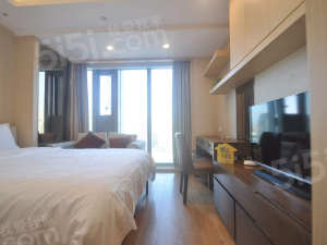 杭州我爱我家绿城高品质酒店式公寓，月租金6000+，正对银泰