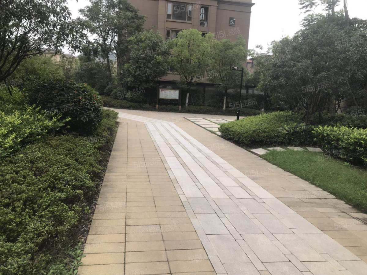 杭州我爱我家野风春晓