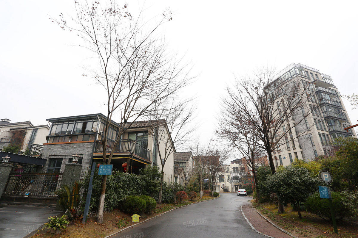 星星港湾文斓苑 毛胚 排屋