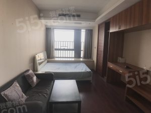 整租·文泽·盛泰名都中心·1居室