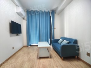 整租·大关·宸铭府西区·2居室