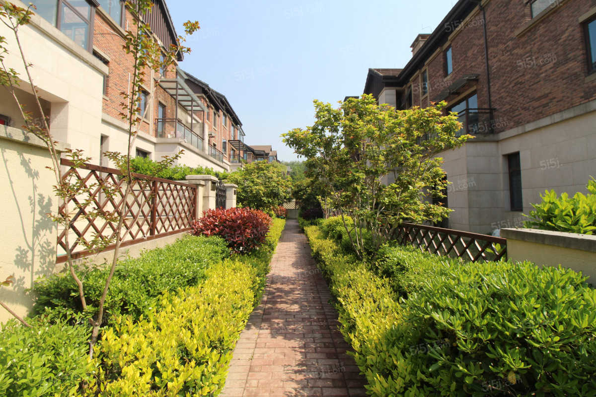 保亿围庐 排屋 环境优美 交通便利