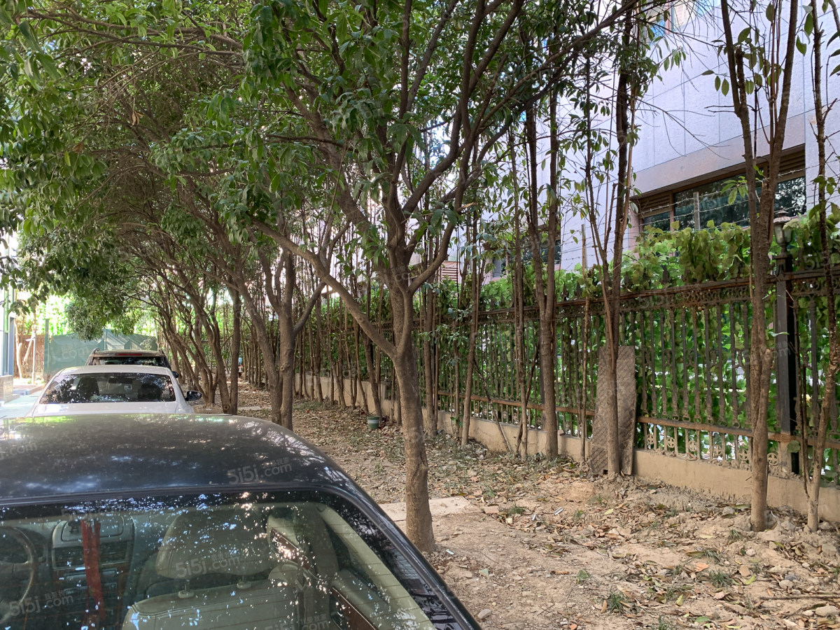 杭州涌金花园_涌金花园二手房|租房|价格_我爱我家