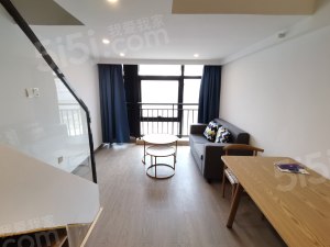 中巢起梦公园·2居室