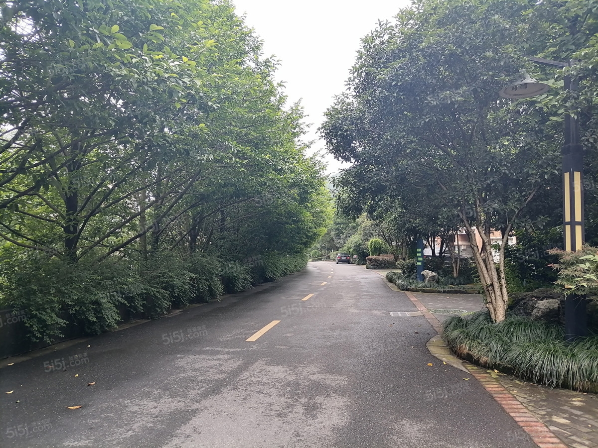 荆山翠谷新上排屋房东诚心售带装修边套