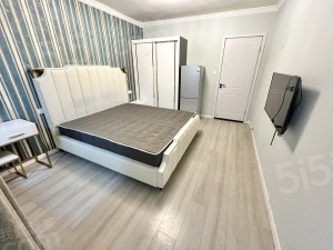 整租·潮鸣·叶家弄·1居室