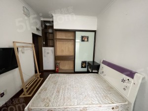 整租·潮鸣·华藏寺巷·1居室