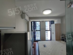 整租·未来科技城·宏旺西溪阳光中心·1居室