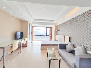整租·彩虹城·龙禧硅谷酒店广场·1居室