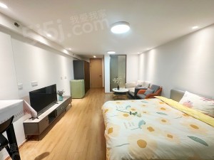 整租·城东新城·铂瑞悦府·1居室